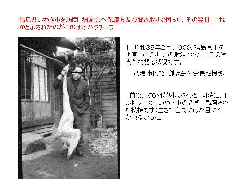 福島県いわき市を訪問、猟友会へ保護方及び聞き取りで伺った、その翌日、これかと示さ...