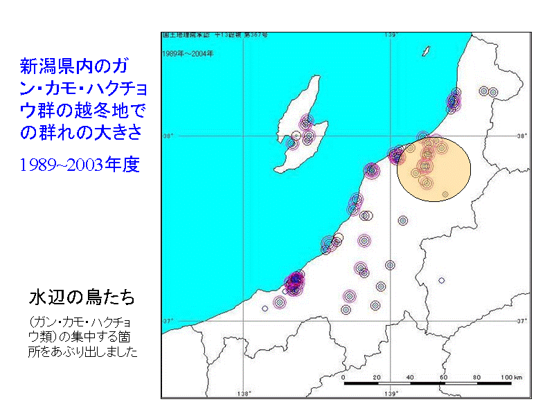 ṼKEJEnN`EQ̉z~nł̌Q̑傫
1989~2003...