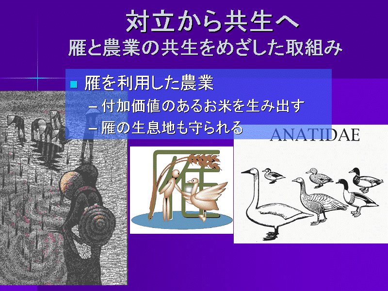 Η狤Ɣ_Ƃ̋߂g
