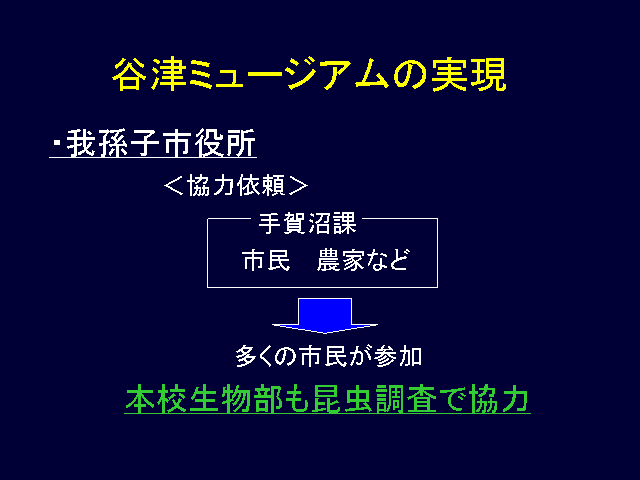 JÃ~[WA̎