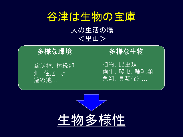 谷津は生物の宝庫